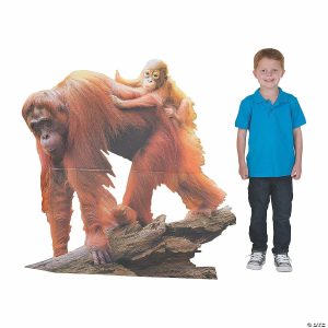 Party Decorations |  43 1/2″ Wild Encounters VBS Orangutan Cardboard Cutout Stand-Up Party Decorations Party Decorations